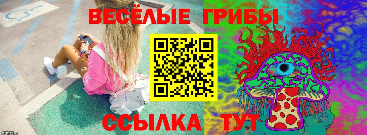 даркнет сайт  Псилоцибиновые грибы Magic Shrooms  Анапа  Вход с VPN  Псилоцибиновые грибы Psilocybine cubensis 